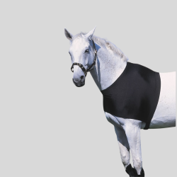 EQUI-THEME Shoulder protection