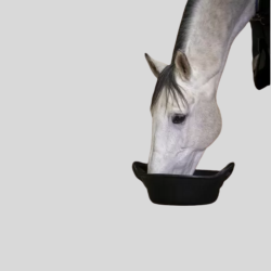 HIPPOTONIC Seau alimentaire souple 12L