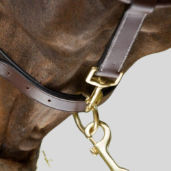 HFI Grooming-Halfter Leder