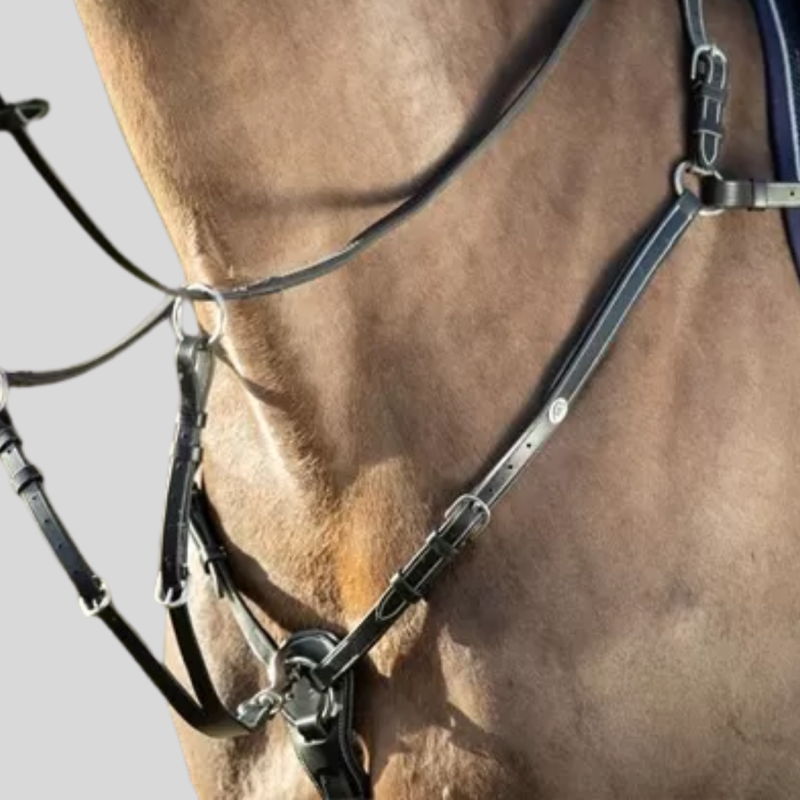 HFI Jagdhalsband Long Bridge