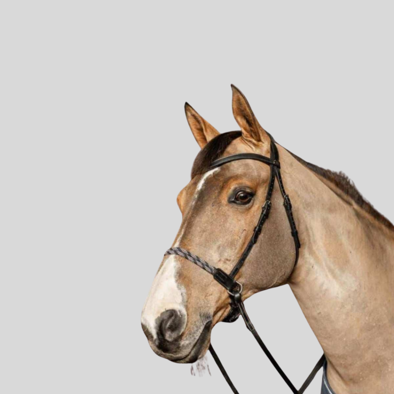 HFI - Freedom bitless bridle