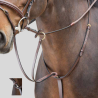 HFI Martingal mit Ringen
