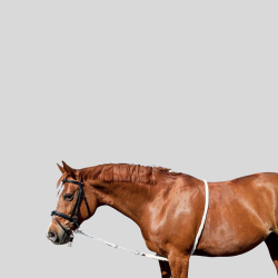 HFI Longierzopf aus Baumwolle