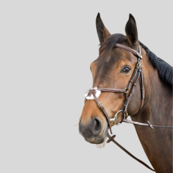 HFI Mexican bridle