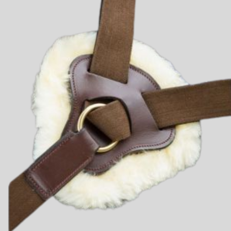 HFI Collier de chasse 5 points élastiques
