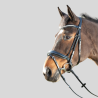 HFI Bridle Shiny Black