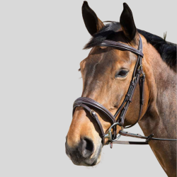HFI Bridon Elegant