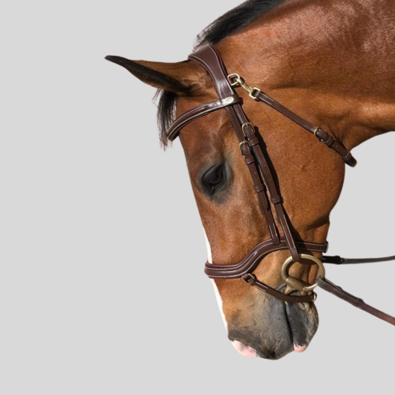 HFI Bridle Techno