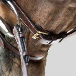 HFI Bridle Techno