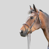 HFI Bridle Technical