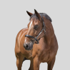 NORTON Halfter Pro Grooming