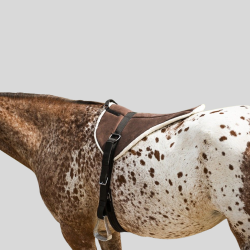 NORTON Teppich De Monte A Cru Soft