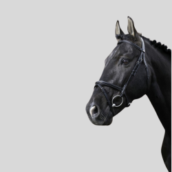 NORTON Pro Bridon Fin