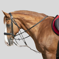 NORTON Kogge mit Riemenscheiben