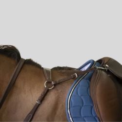 NORTON Jagdhalsband Comfort