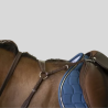 NORTON Jagdhalsband Comfort