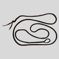 NORTON Ethological Lanyard 3.7m
