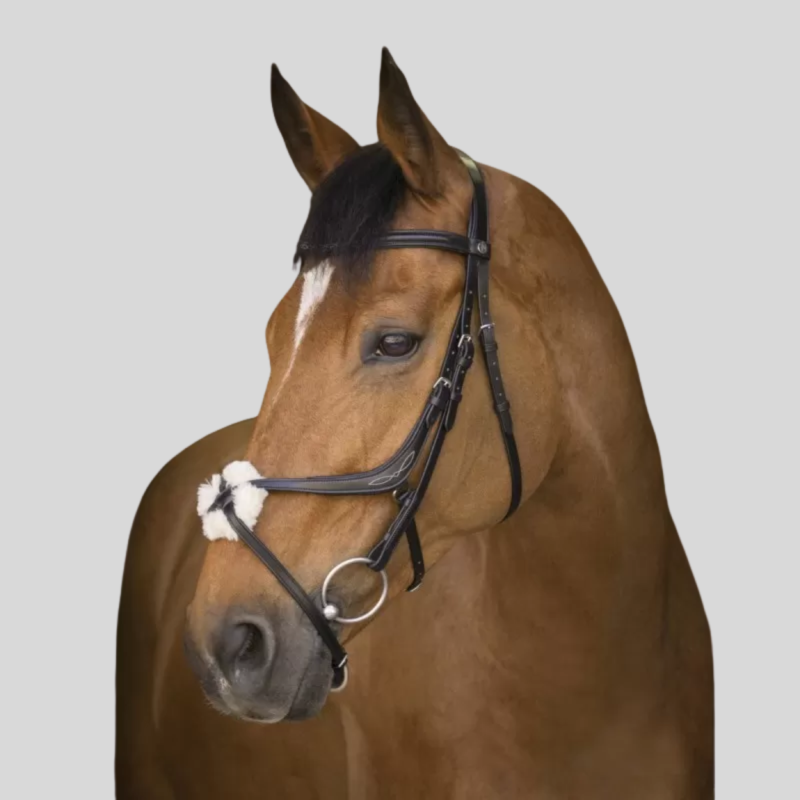 NORTON PRO Bridon à muserole croisée
