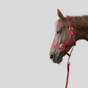 Halter and Longe Riding World Club