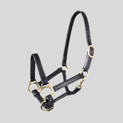 SART Licol en cuir pour poulain