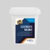 CAVALOR Electrolyte Balance 800gr bei Foolfashion.ch