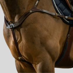 DY'ON Anatomical Hunting Collar