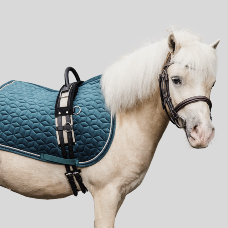 KENTUCKY Velvet Jumping Pony Carpet