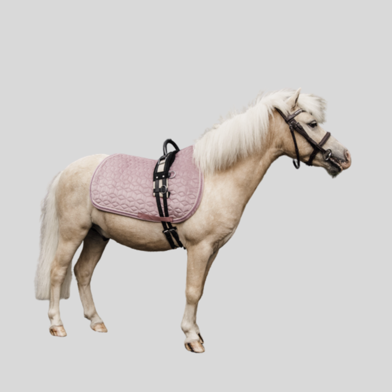 KENTUCKY saddle pad velvet jumping Pony - Kentucky - Foolfashion.ch