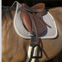 EQUITHEME Teppich Softy