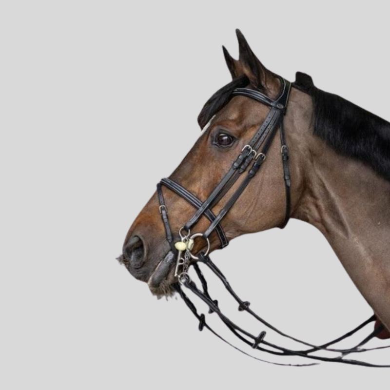 HFI Double Jump clamp