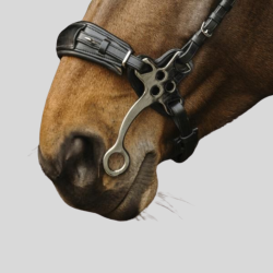 NORTON Bridle Pro Hackamore
