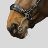 NORTON Bridle Pro Hackamore
