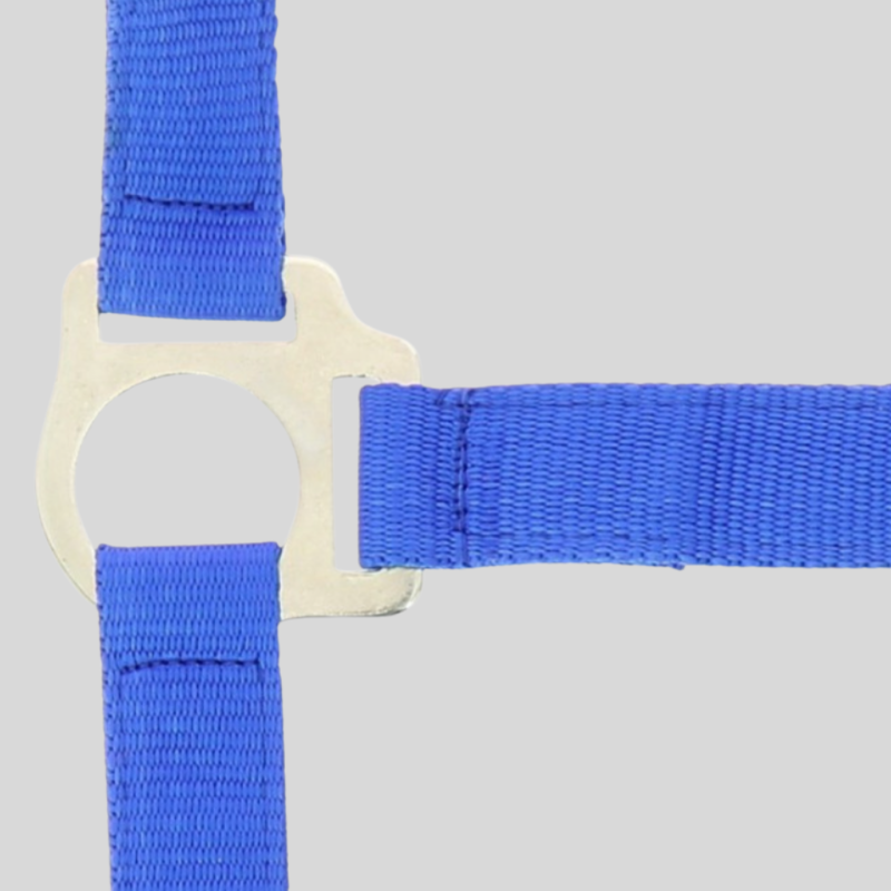 Riding World Club Headcollar and leadrope set - Halters and Leadropes - Foolfashion.ch