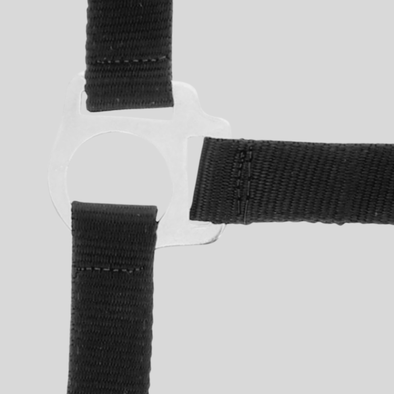 Riding World Halfter und Anbindestrick Set Club - Halfter und Führstricke - Foolfashion.ch