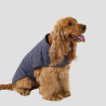 JOTT Bluestone Cutie dog jacket