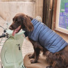 JOTT Daunenjacke für Hunde Bluestone Cutie