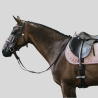 KENTUCKY Tapis Velvet Jumping Poudre