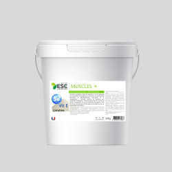 MUSCLE+ - Vit E, selenium, lysine and spirulina - Support and muscle recovery for horses