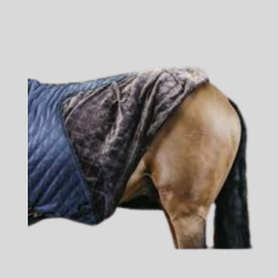 KENTUCKY Stable Blanket 200gr - Kentucky - Foolfashion.ch