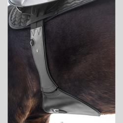 WALDHAUSEN Leather saddle girth with elastic belly flap - WALDHAUSEN- Foolfashion.ch