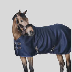 KENTUCKY Chemise séchante 3D Spacer