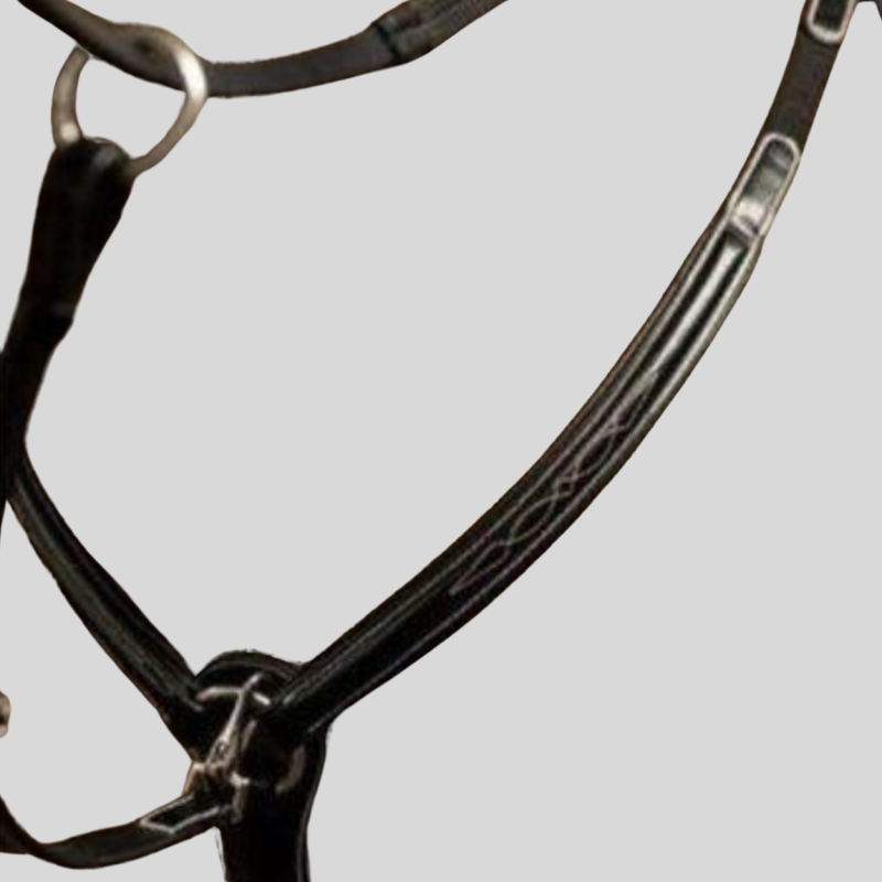 HFI Pro Line Arezzo Jagdhalsband