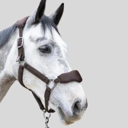 PROCONFORT Dorai Set Ergonomic mesh halter and lead rope