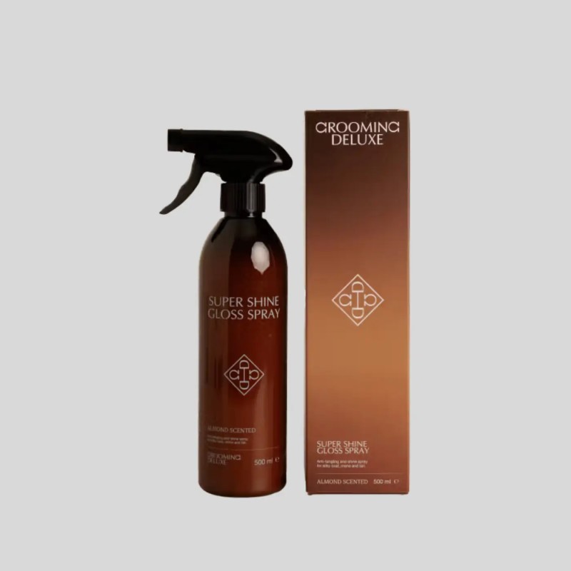 KENTUCKY Mandel Super Shine Gloss Spray 500ml
