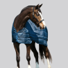 HORSEWARE Liner amovible 300gr - HORSEWARE - Foolfashion.ch