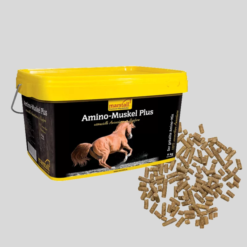 MARSTALL Amino-Muskel Plus