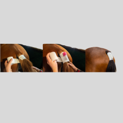 EasyFoal Outdoor foaling detection kit - 1 sensor