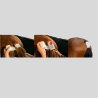 EasyFoal Outdoor foaling detection kit - 1 sensor