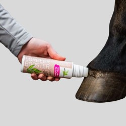 Huföl mit Lorbeer - Natürliche Pflege 200 ml