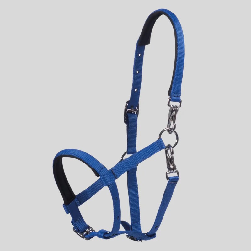 HKM Licol poulain Millie